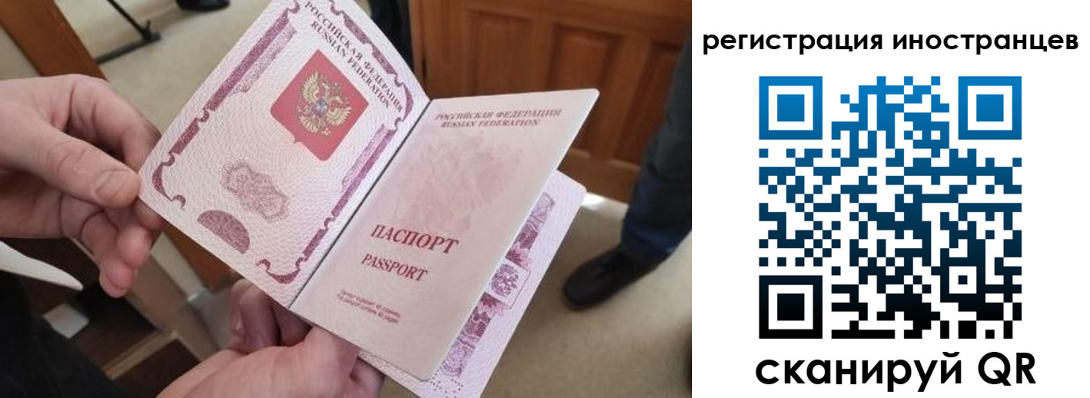 прописка ребенка в Зернограде